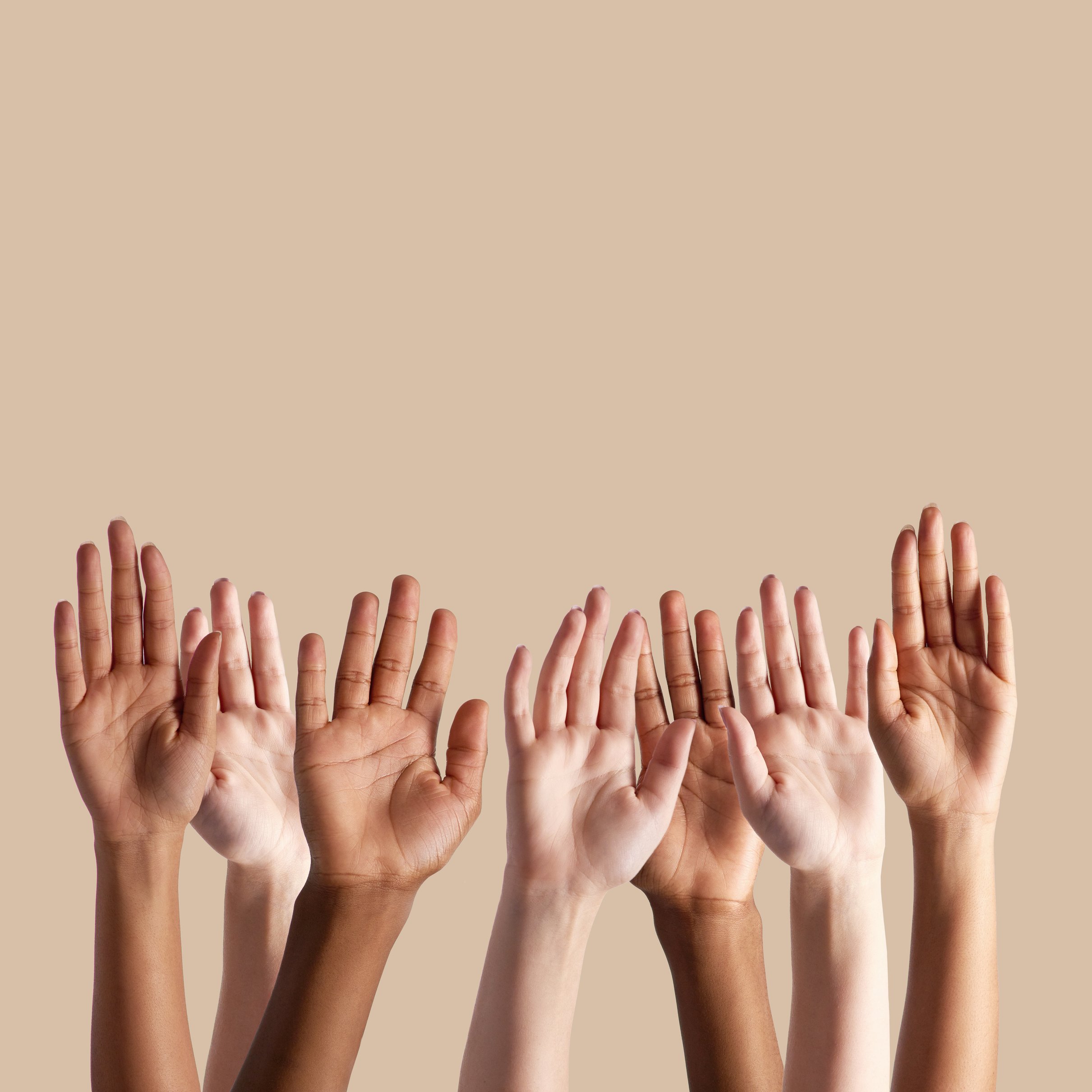 Raise Your Hands If You Support Diversity